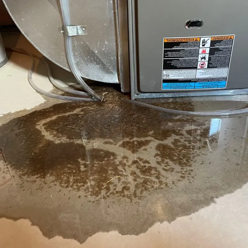 Pipe Burst and Leak Restoration in Hill County, MT