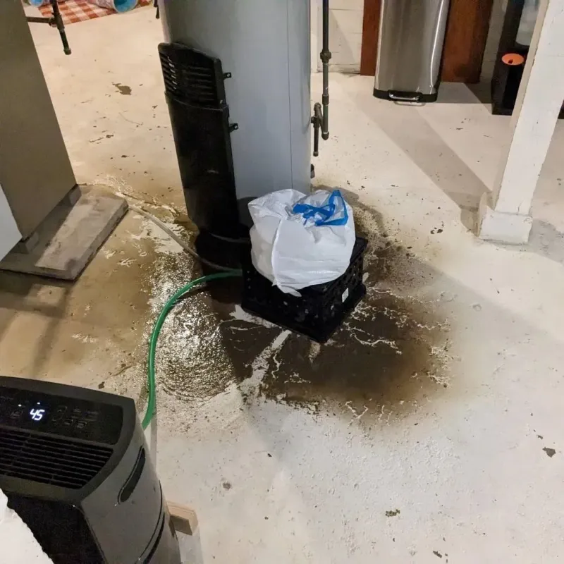 Sewage Backup Cleanup Service in Hill County, MT